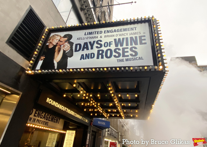 Photos: Company Celebrates Opening Night of DAYS OF WINE AND ROSES Image