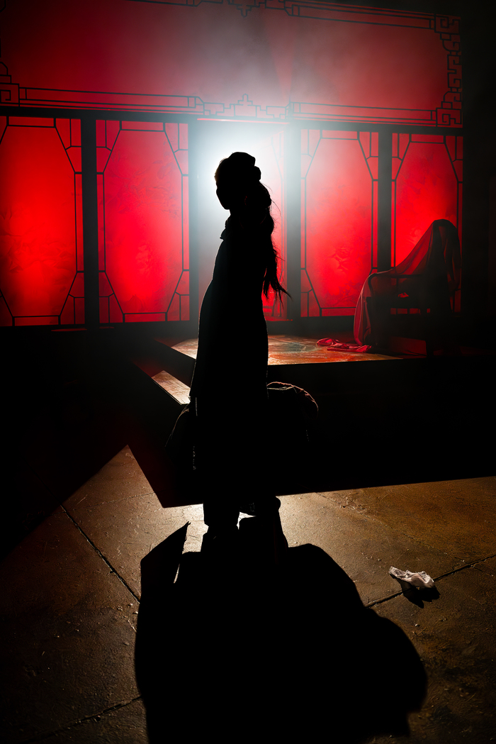 Photos: First Look at THE CHINESE LADY at American Stage Image