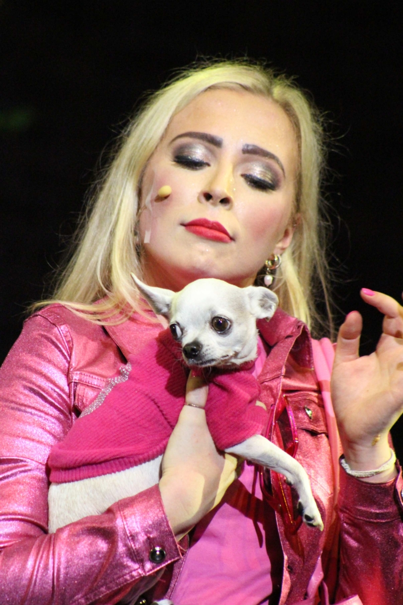 Review: LEGALLY BLONDE THE MUSICAL is a joyful occasion at the Artscape 