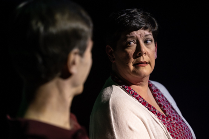 Photos: First look at Original Productions Theatre's THE FACEBOOK EFFECT Image