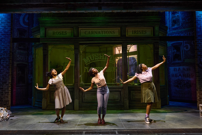 Photos: First Look at Darren Criss & Evan Rachel Wood in LITTLE SHOP OF HORRORS Image