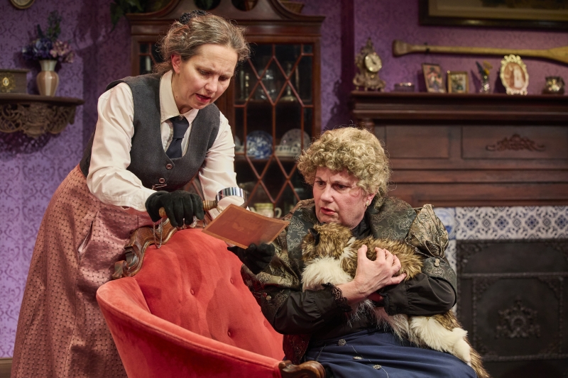 Review: THE VICTORIAN LADIES' DETECTIVE COLLECTIVE at Washington Stage Guild Image