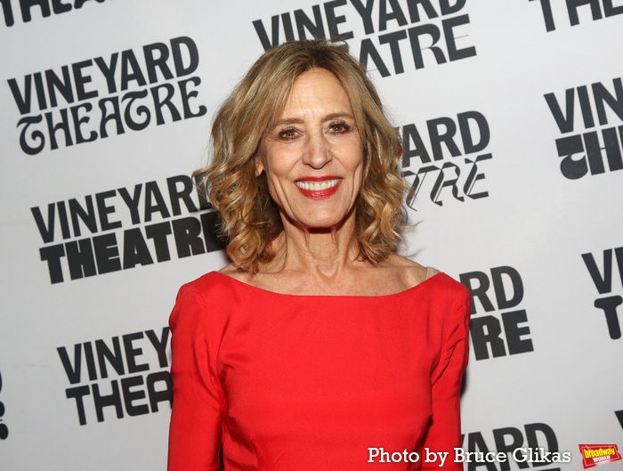 Photos: Inside Opening Night of RUSSIAN TROLL FARM at Vineyard Theatre Image