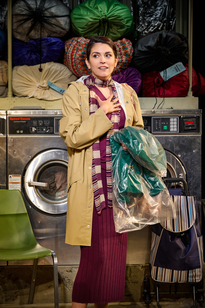 Photos: Get a First Look at Cecily Strong & More in BROOKLYN LAUNDRY World Premiere Image