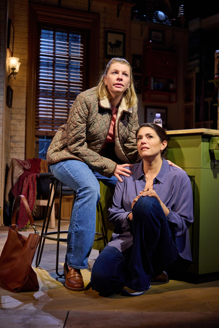 Photos: Get a First Look at Cecily Strong & More in BROOKLYN LAUNDRY World Premiere Image