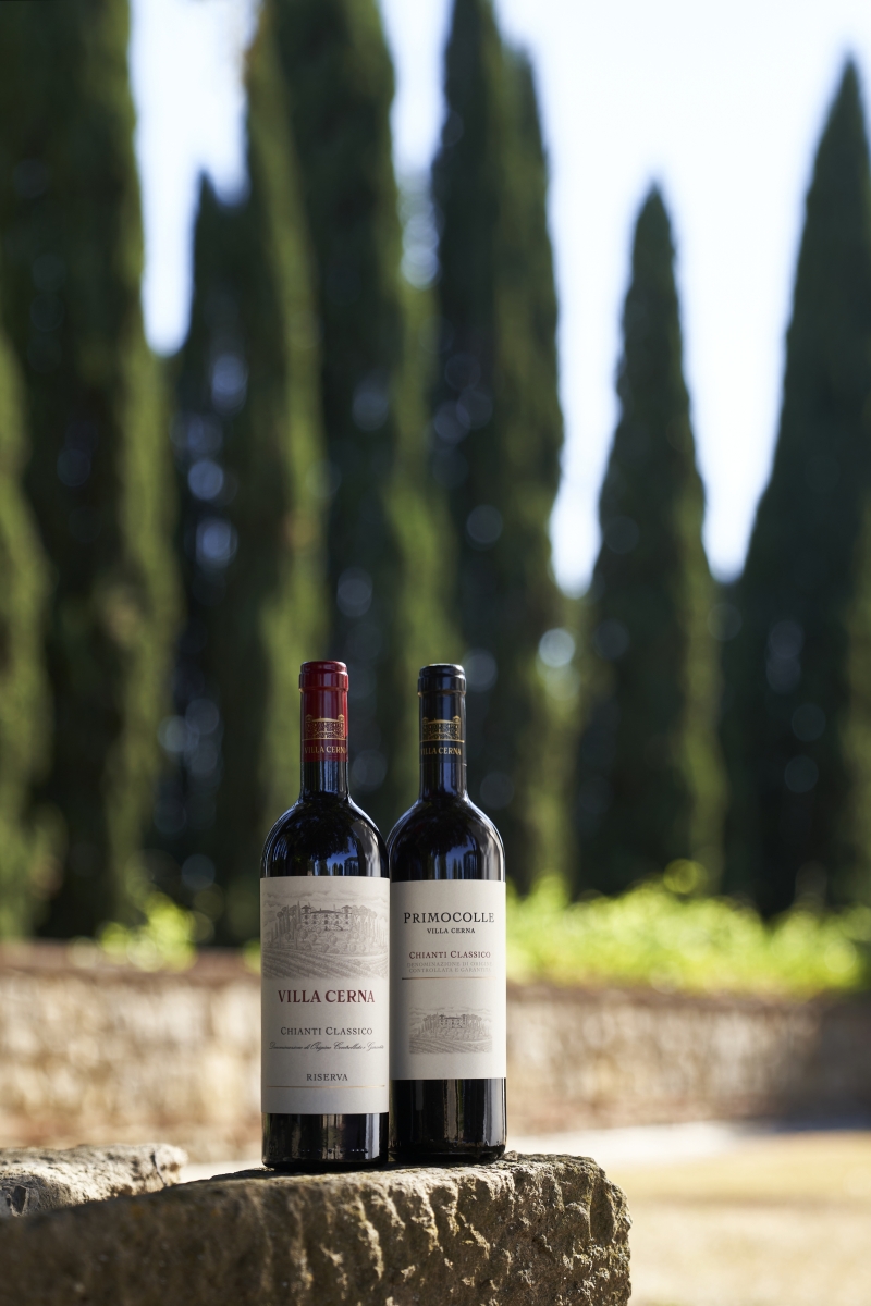 FAMIGLIA CECCHI Produces Top Italian Wines with Passion and Dedication Image