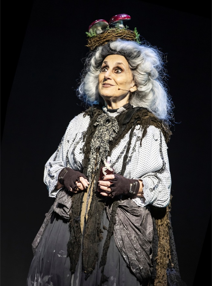 Photos: Ramin Karimloo, Michelle Visage, and More in THE ADDAMS FAMILY in Concert Image