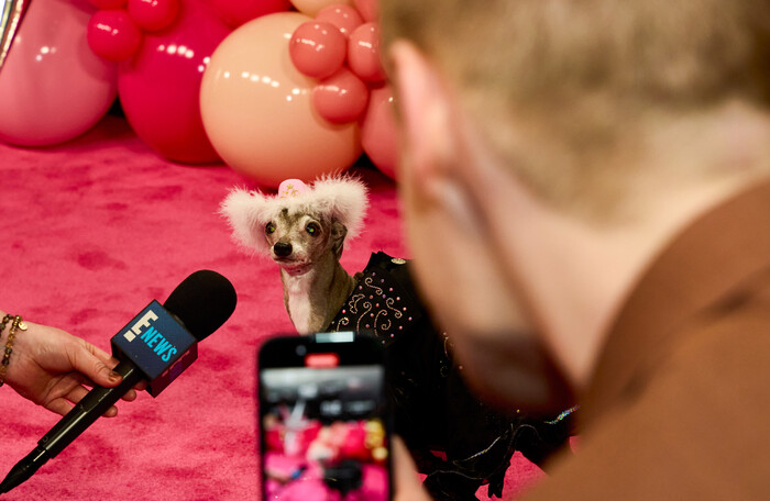 Photos: First Look at DOLLY PARTON'S PET GALA on CBS With Jane Lynch, Iain Armitage & More Image