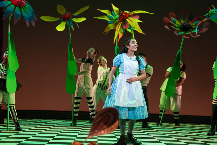 Photos: First Look at Children's Theatre Company's ALICE IN WONDERLAND Image