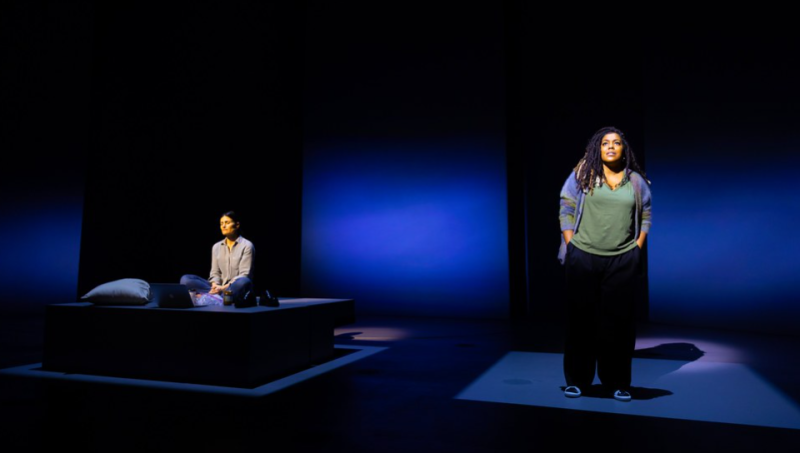 Review: REDWOOD Looks to Turn Tragedy Into Transformation at La Jolla Playhouse 