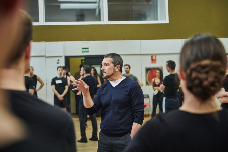 TOCANDO NUESTRA CANCIÓN y GYPSY comienzan sus audiciones Image