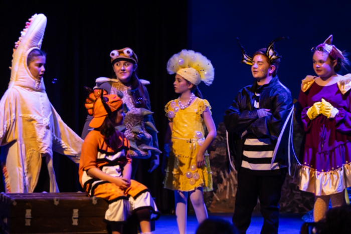 Photos: First look at Hilliard Arts Council's DISNEY'S FINDING NEMO, JUNIOR Image