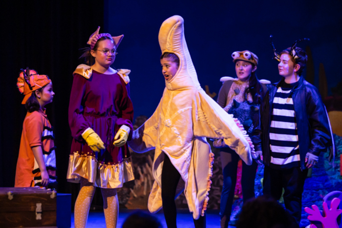 Photos: First look at Hilliard Arts Council's DISNEY'S FINDING NEMO, JUNIOR Image