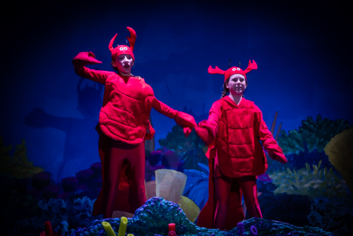 Photos: First look at Hilliard Arts Council's DISNEY'S FINDING NEMO, JUNIOR Image