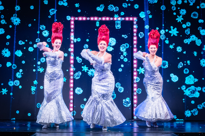 Review: PRISCILLA THE PARTY, HERE @Outernet Image