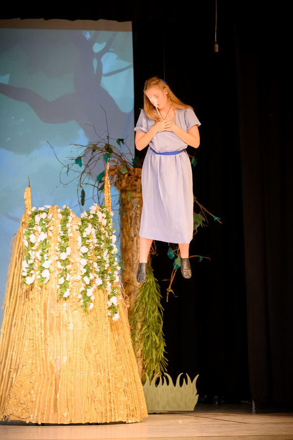Photos: Get a First Look At Liberty Union Musical Theater's PETER PAN JR. Image