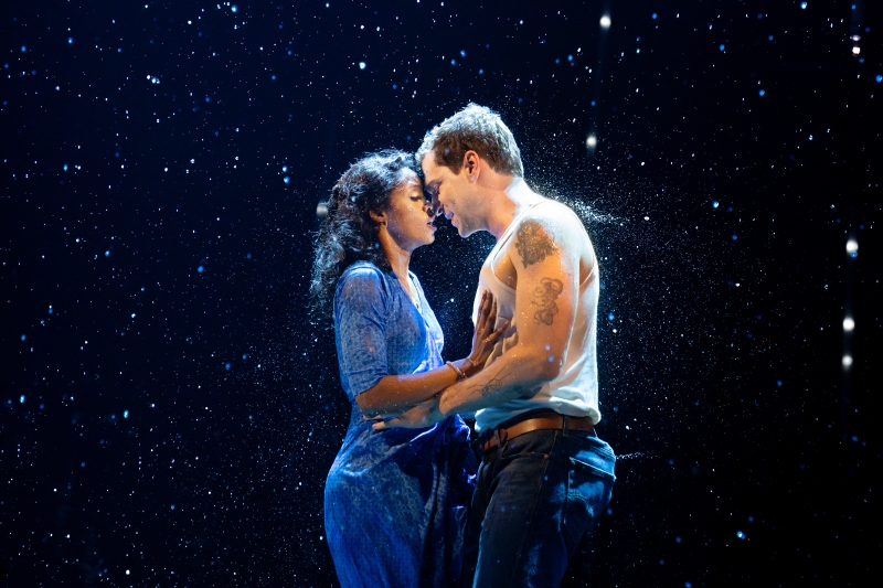 THE NOTEBOOK on Broadway- A Complete Guide Image