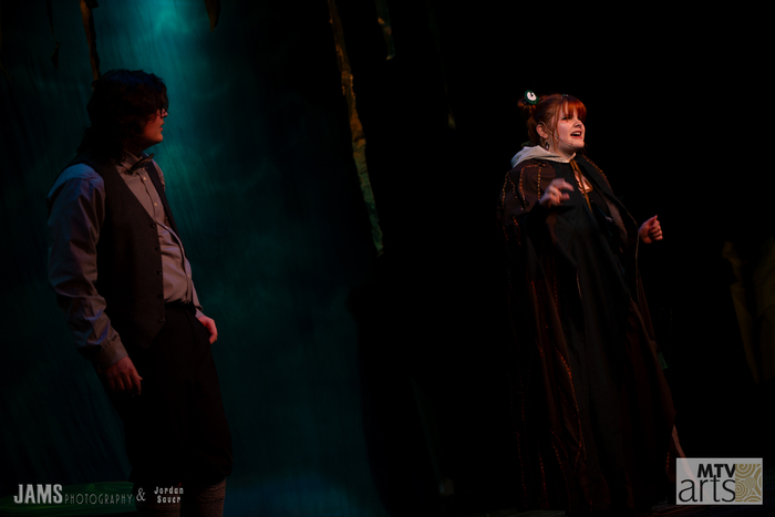 Photos: First look at Mount Vernon Arts HONK JR Image