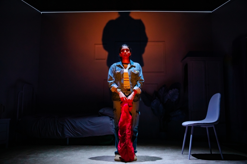 Review: INSTRUCTIONS FOR A TEENAGE ARMAGEDDON, Garrick Theatre Image