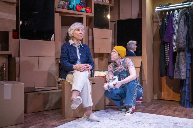 Review: THE SLOW DANCE at 59E59 Theaters Smartly Portrays Life Changes Image