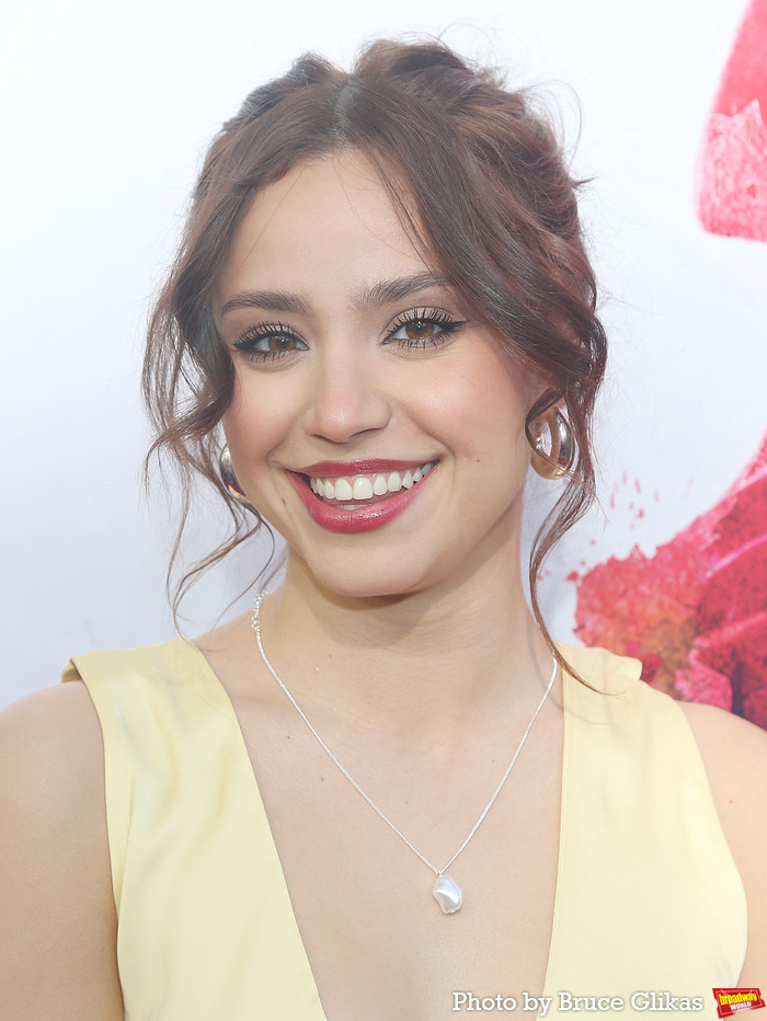 Photos: THE NOTEBOOK Cast & Creative Team Walk the Red Carpet on Opening Night Image