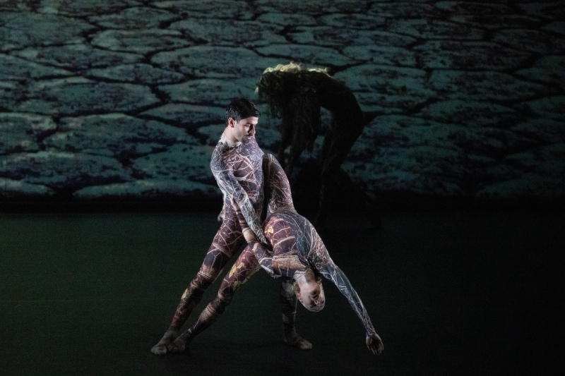 Review: UNIVERSE: A DARK CRYSTAL ODYSSEY, Sadler's Wells Image
