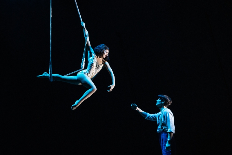 WATER FOR ELEPHANTS on Broadway- A Complete Guide Image
