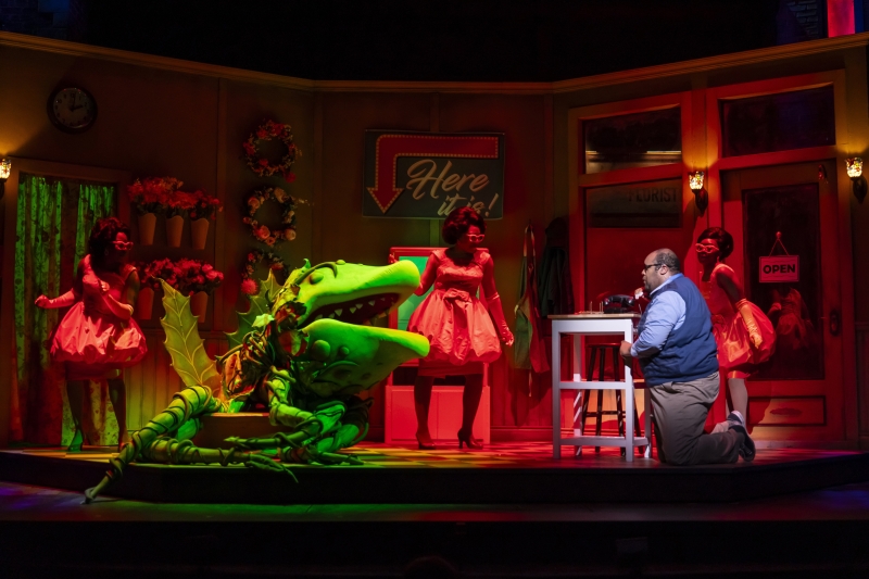 Review: LITTLE SHOP OF HORRORS at Ford's Theatre Image