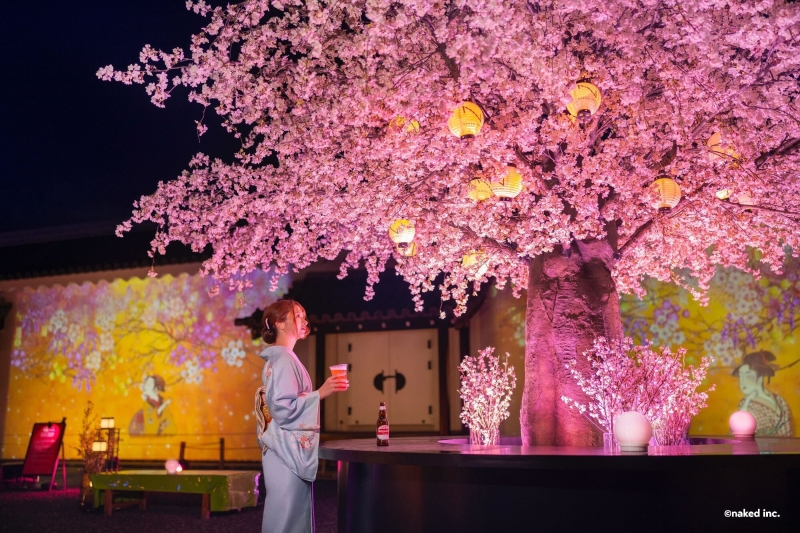 公演レポート：NAKED桜まつり 2024 世界遺産・二条城 