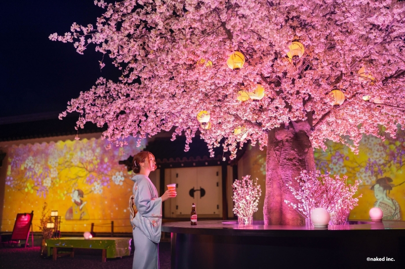 Review: NAKED SAKURA FESTIVAL 2024: WORLD HERITAGE SITE NIJO-JO CASTLE Image