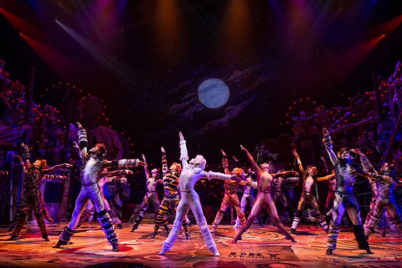 How Often Are Musicals Revived with Their Original Director? Image