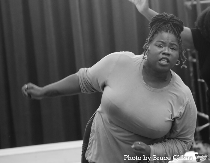 Photos: Paper Mill Playhouse's GUN & POWDER Meets the Press Image