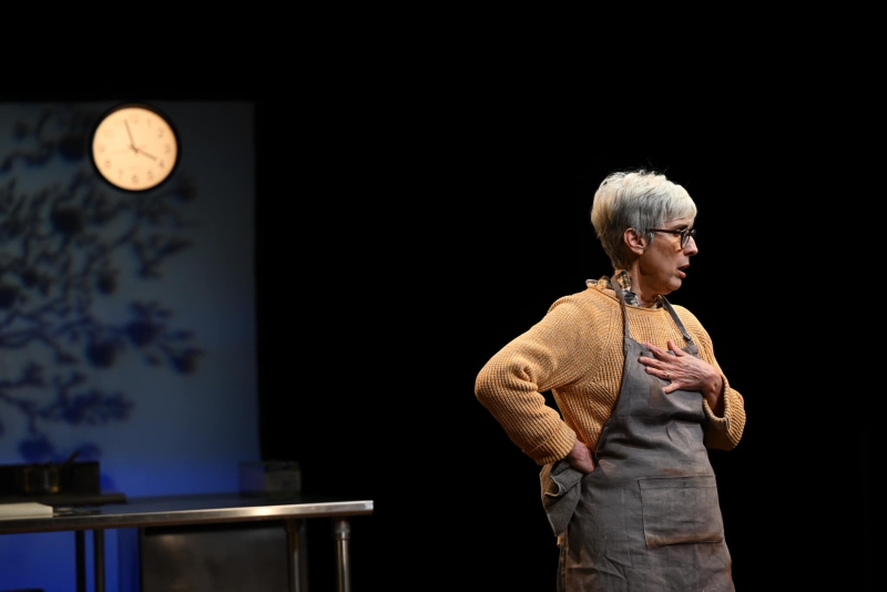 Review: APPLES IN WINTER at Gremlin Theatre Image