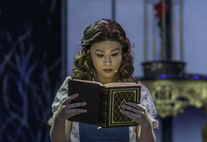 Photos: First Look at Disney's BEAUTY AND THE BEAST At American Stage 