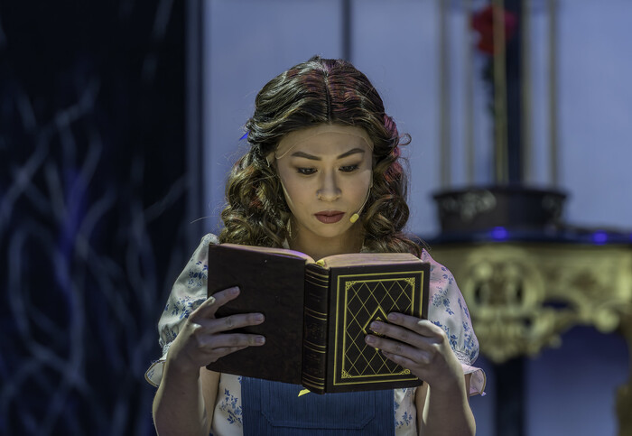 Photos: First Look at Disney's BEAUTY AND THE BEAST At American Stage Image