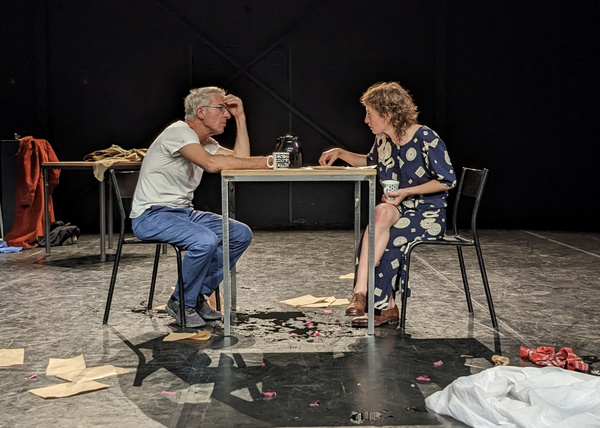 Photos: First Look At ORLANDO: A RHAPSODY At The Tank Image