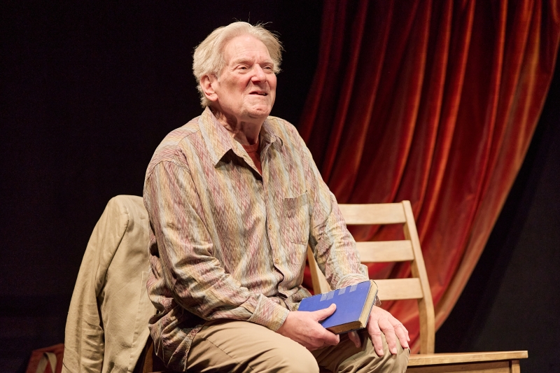 Review: AN ACTOR CONVALESCING IN DEVON, Hampstead Theatre Image