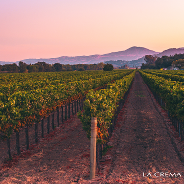 LA CREMA Wines from California-Top Quality and Value 