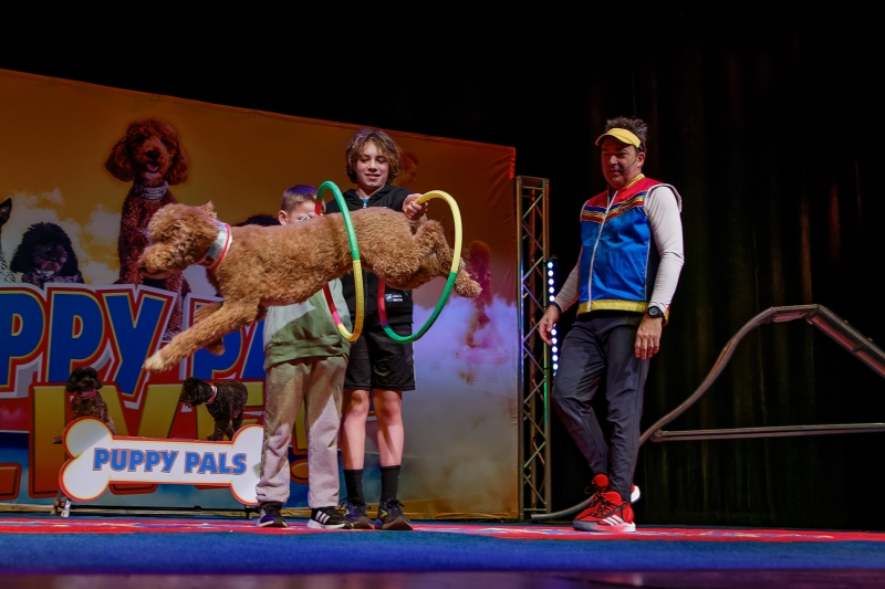 Review: PUPPY PALS at the Norris Theater 