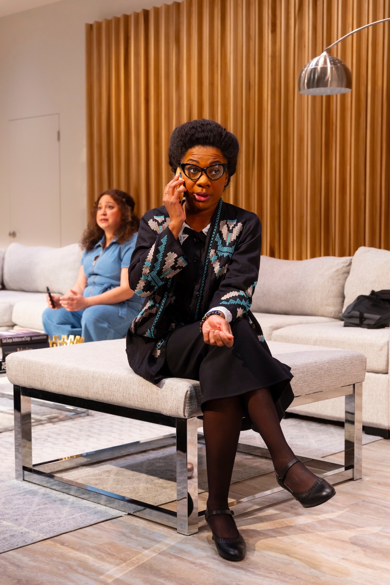 Review: A THOUSAND MAIDS at Two River Theater-Meaningful and Humorous Image