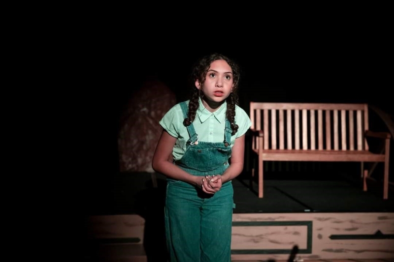 Review: TO KILL A MOCKINGBIRD at Desert Theatreworks Image