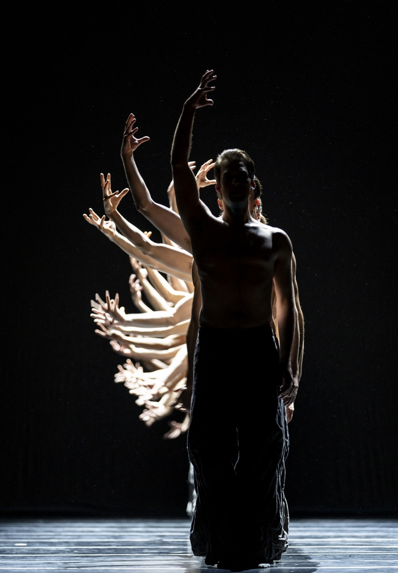 Review: THE SEASONS' CANON at Pacific Northwest Ballet Image