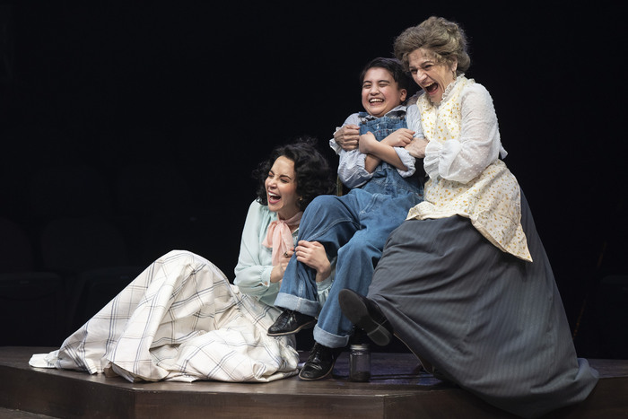 Photos: First Look At THE MUSIC MAN At Marriott Theatre Image
