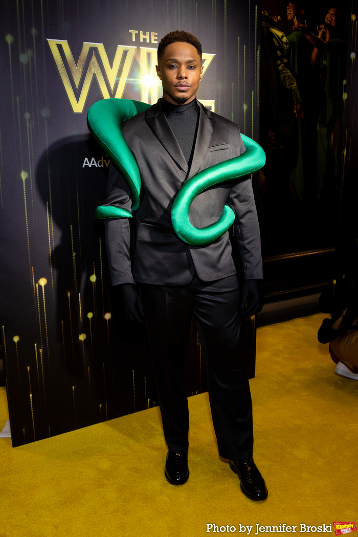 Photos: THE WIZ Cast and Creative Team Walk the Yellow Carpet on Opening Night Image