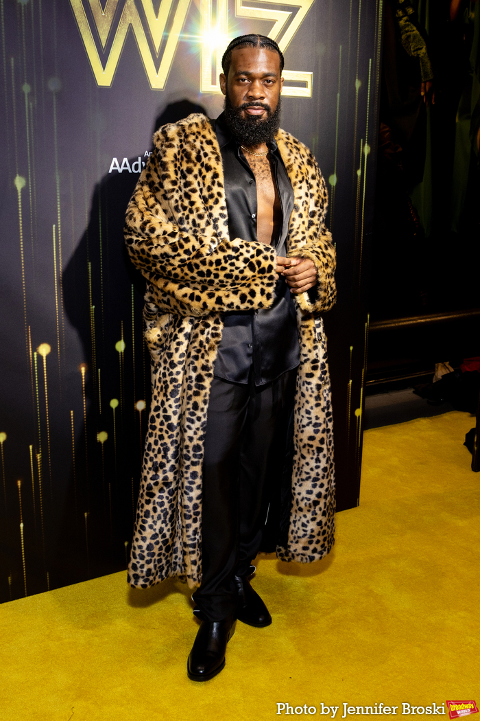 Photos: THE WIZ Cast and Creative Team Walk the Yellow Carpet on Opening Night Image