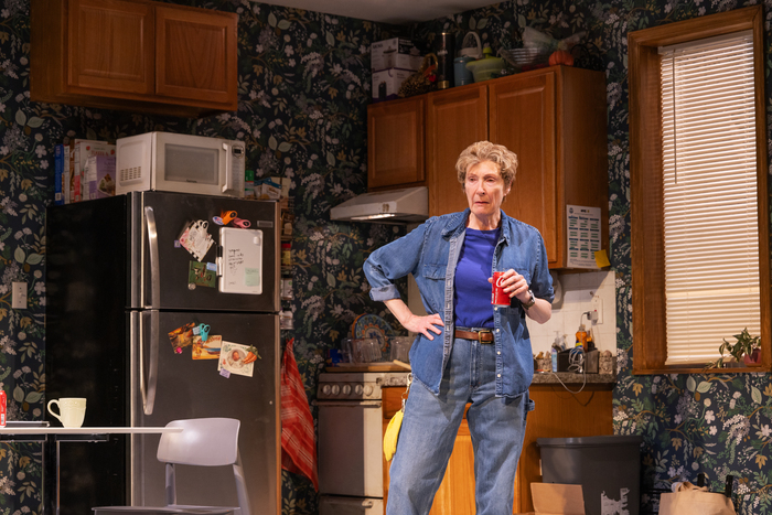 Photos: First Look at Rachel McAdams & More in MARY JANE on Broadway Image