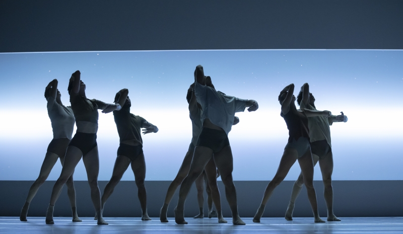 Review: SYDNEY DANCE COMPANY: IMPERMANENCE at The Kennedy Center  Image