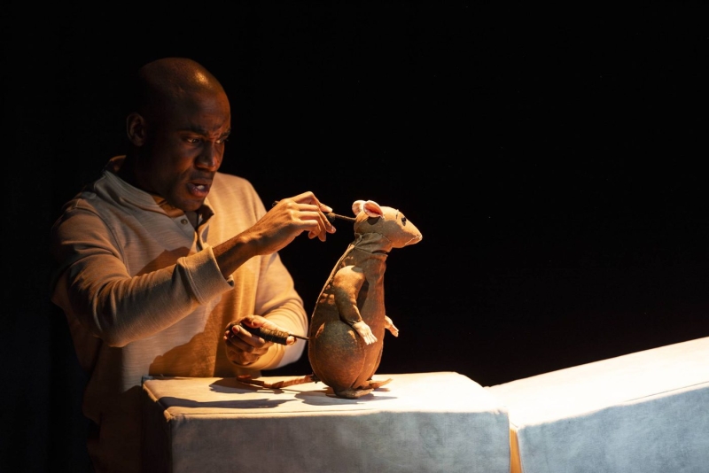 VIDEO: Behind the scenes of THE CURIOUS RAT at the Little Angel Studio Image