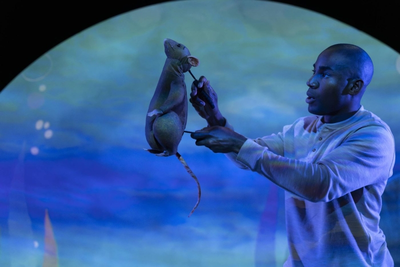 VIDEO: Behind the scenes of THE CURIOUS RAT at the Little Angel Studio Image