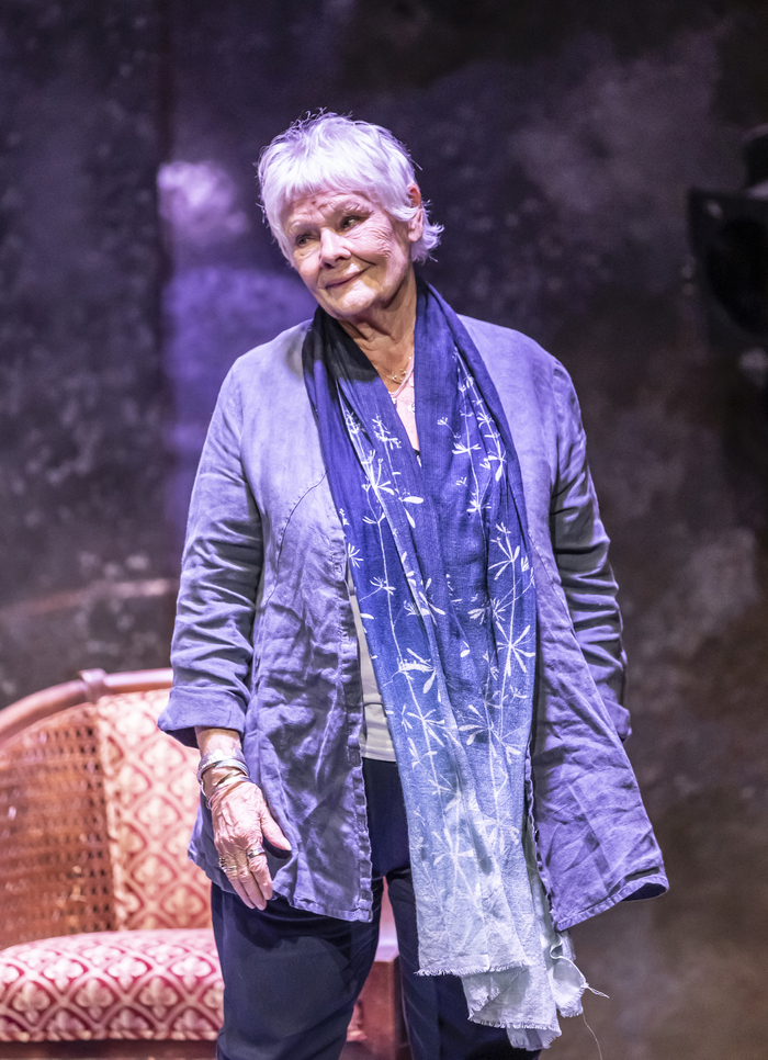 Photos: Dame Judi Dench Visits the Watermill For a Fundraising Event Image